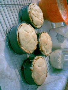 Four 12 cm pies from this recipe